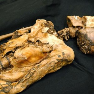 Türklər kimdir və kimlərdən ibarətdir?