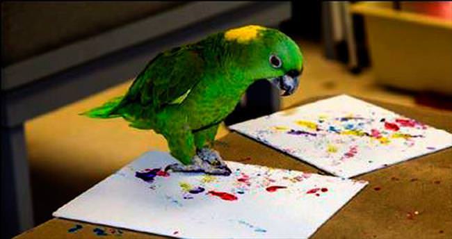 Heyvanların çəkdiyi rəsmlər 200 dollardan satışa çıxarılıb