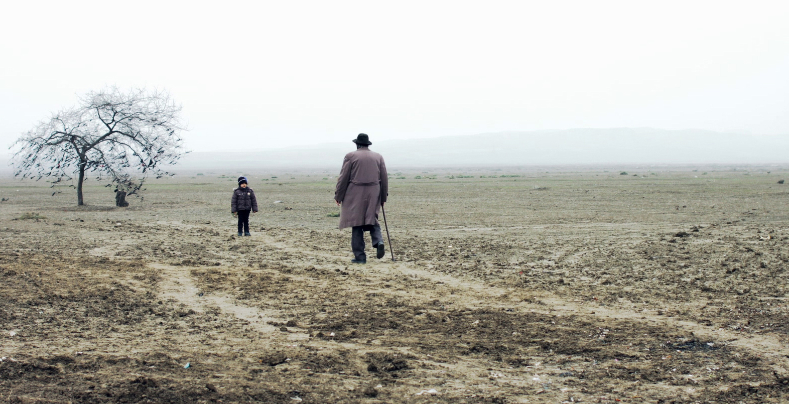 4 yeni film təqdim olunacaq